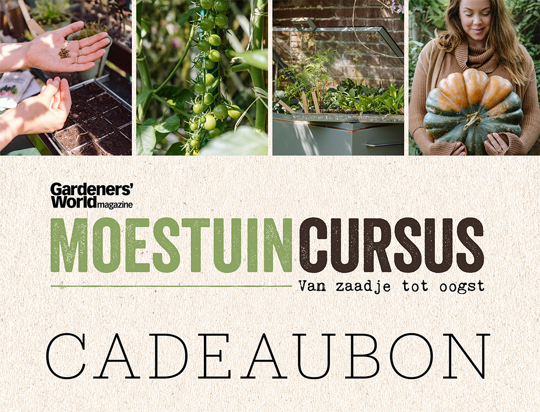 Cadeaubon - Moestuincursus