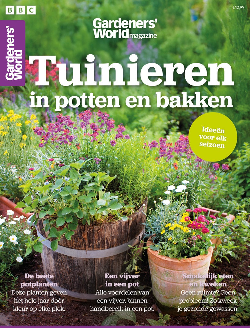 Tuinieren in potten en bakken - Gardeners' World